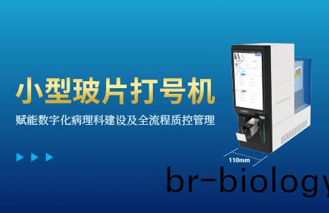 還沒手機寬(kuan)的(de)玻(bo)片打(da)號(hao)機(ji)，到(dao)底(di)有(you)多火？